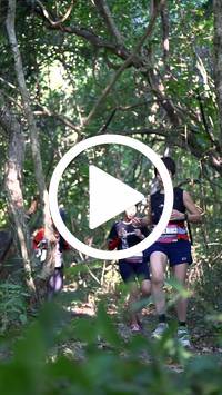 BIB:  <button type="button" onclick="openModal(28063705)" class="btn btn-primary btn-sm float-right" data-toggle="modal" data-target=".modal-high-quality">
                <i class="fa fa-download"></i> Download
                </button>